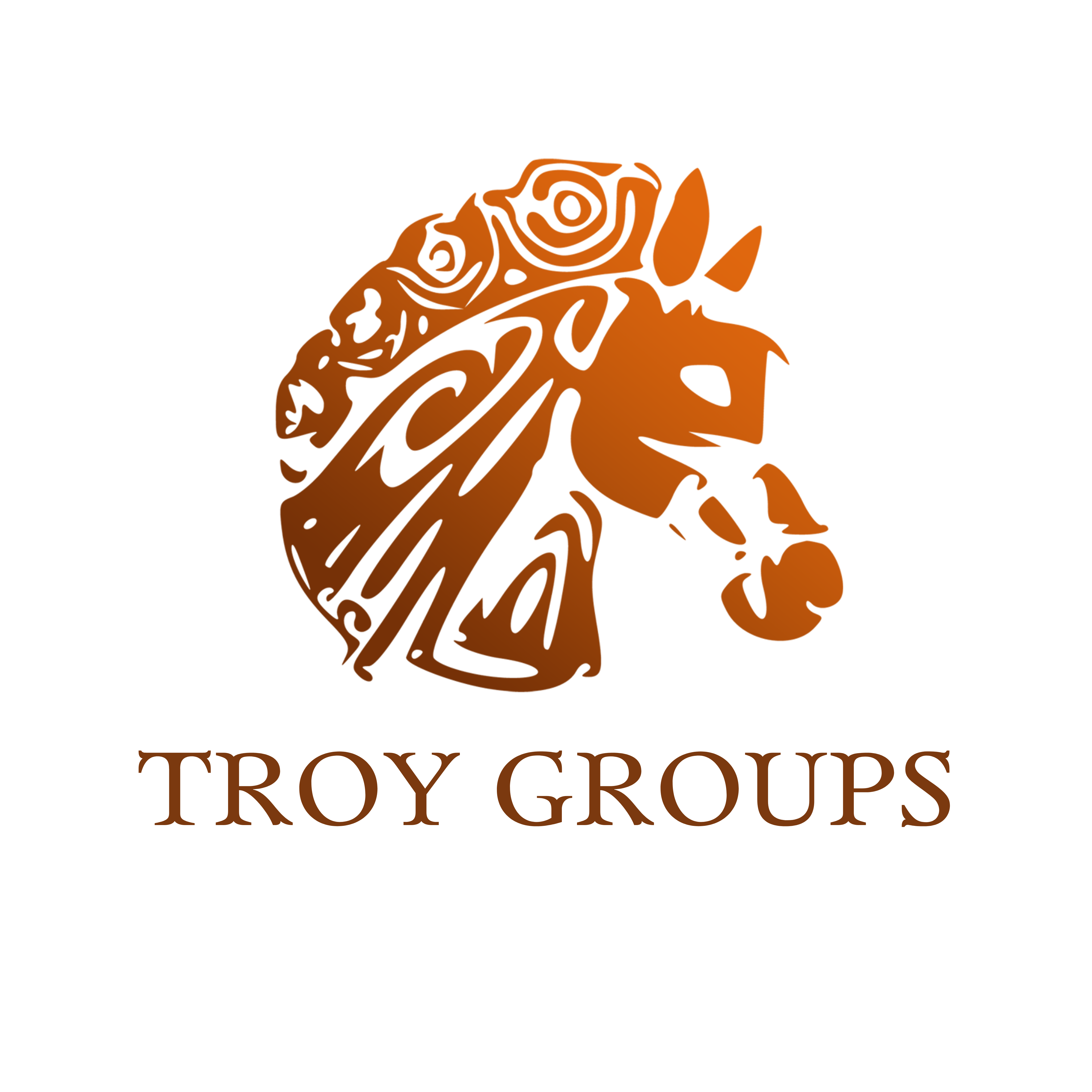 Troy-Groups